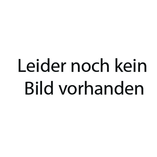 LECHLER Air-Injektor Kompaktdüsen IDK/IDKN, grau
