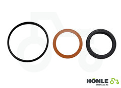 Dichtungssatz zu Schnelltrennkupplung Fendt